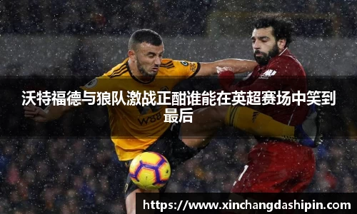 沃特福德与狼队激战正酣谁能在英超赛场中笑到最后